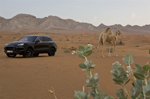 new-cayenne-autocar-test