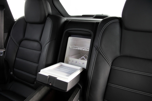 tech-cayenne-options