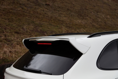 tech-cayenne-options